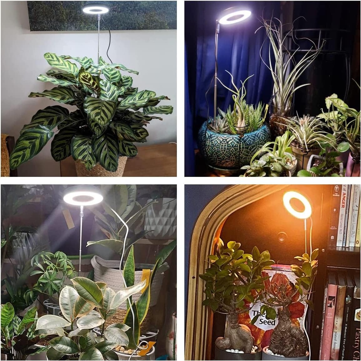 Aokrean Halo Grow Light with Adjustable Base (3 Pack): image 4