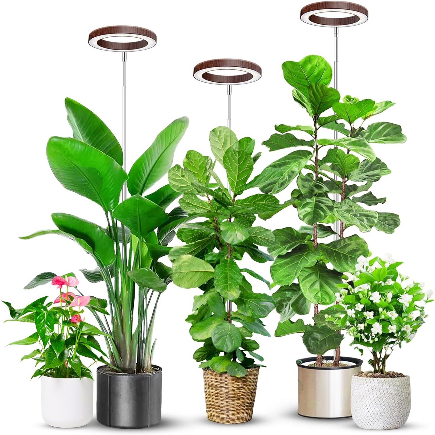 Aokrean Halo Grow Light with Adjustable Base (3 Pack): image 10