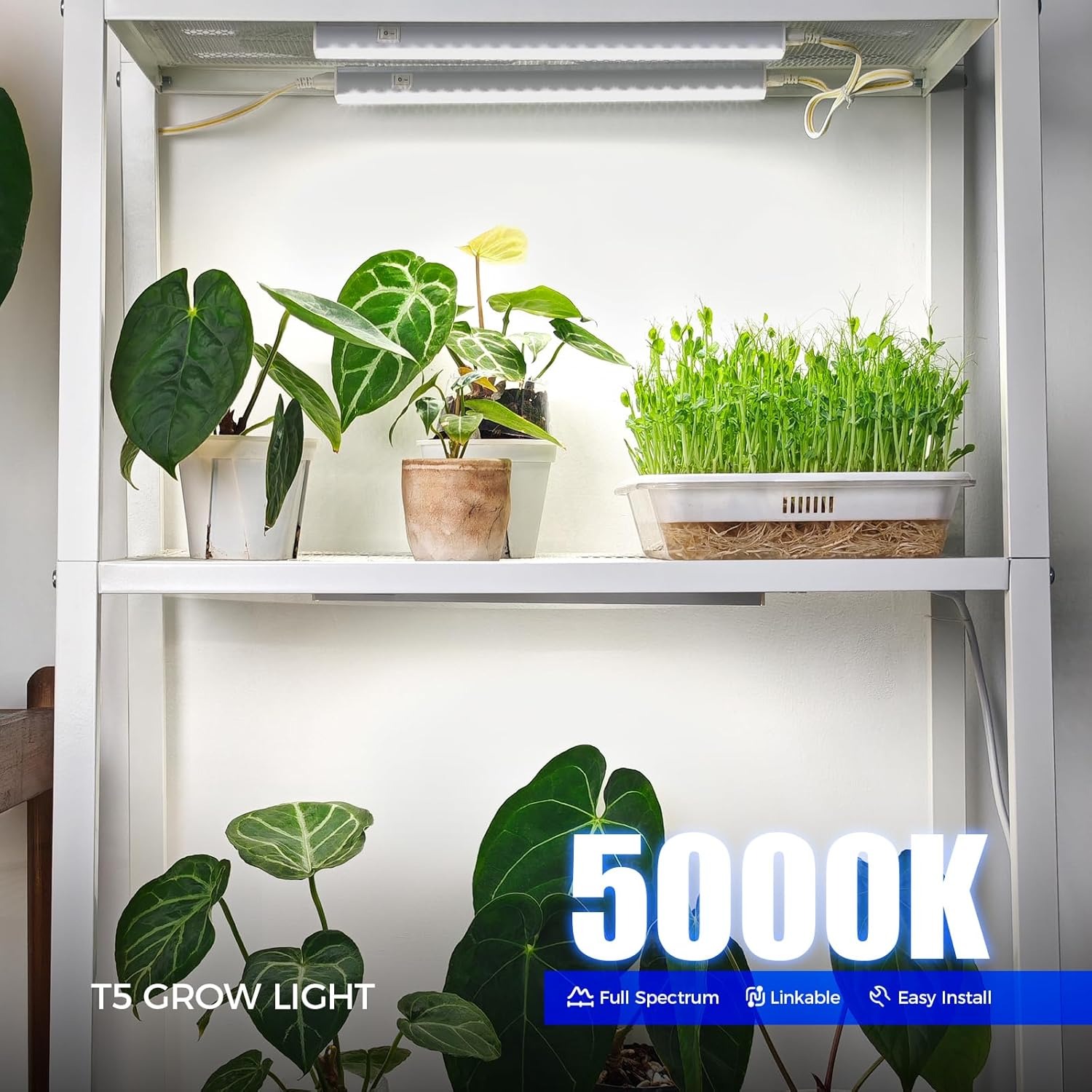 Barrina T5 LED Grow Light Bars, 1ft Full Spectrum 5000K, 4 Pack: image 3
