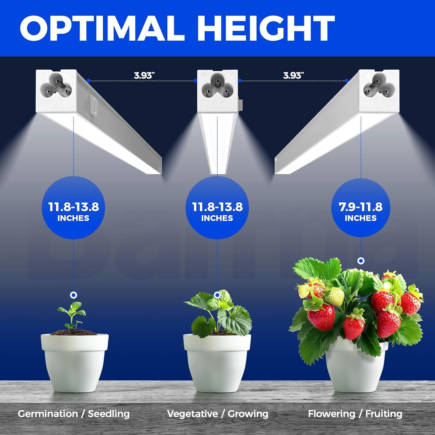 Barrina T5 LED Grow Light Bars, 1ft Full Spectrum 5000K, 4 Pack: image 4