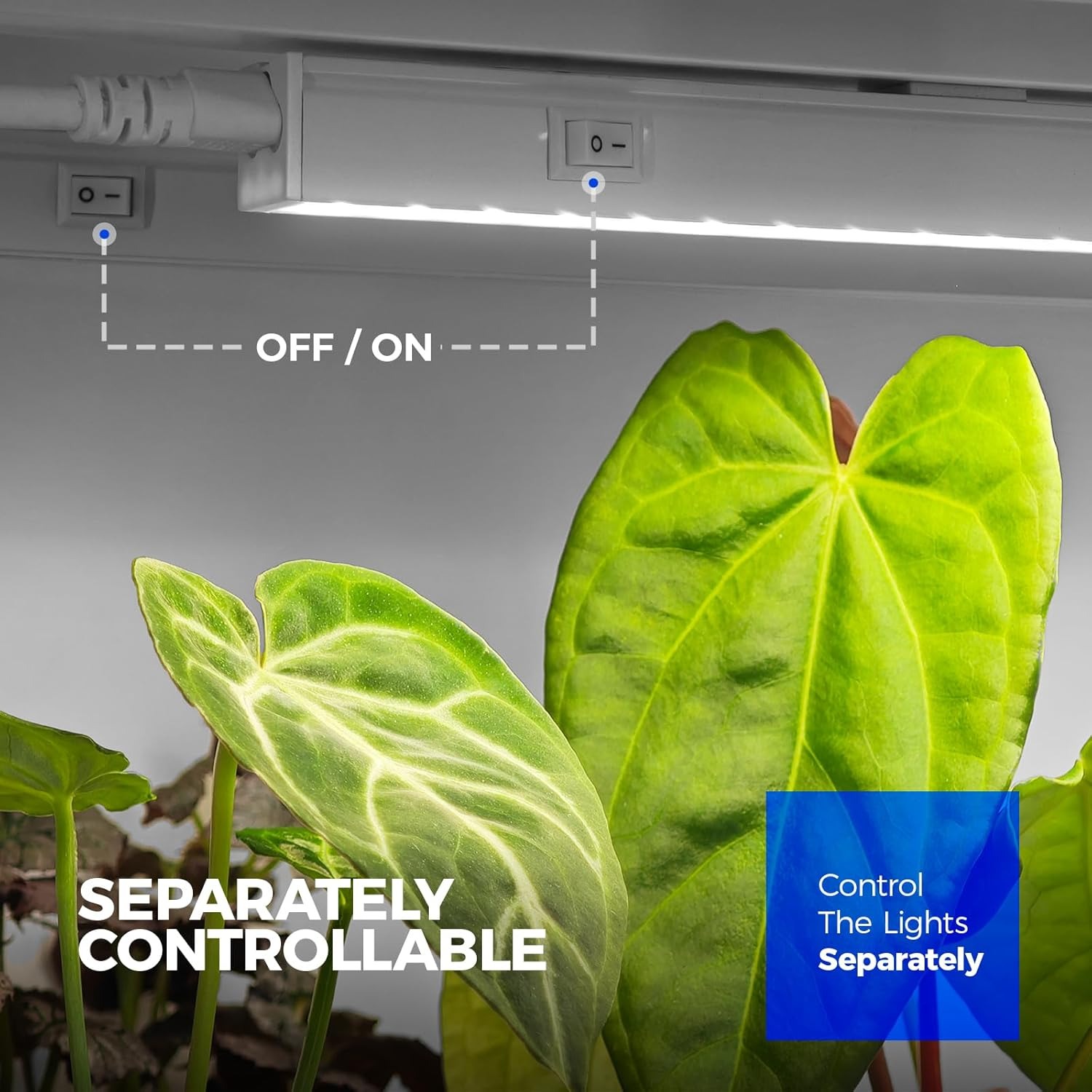 Barrina T5 LED Grow Light Bars, 1ft Full Spectrum 5000K, 4 Pack: image 6