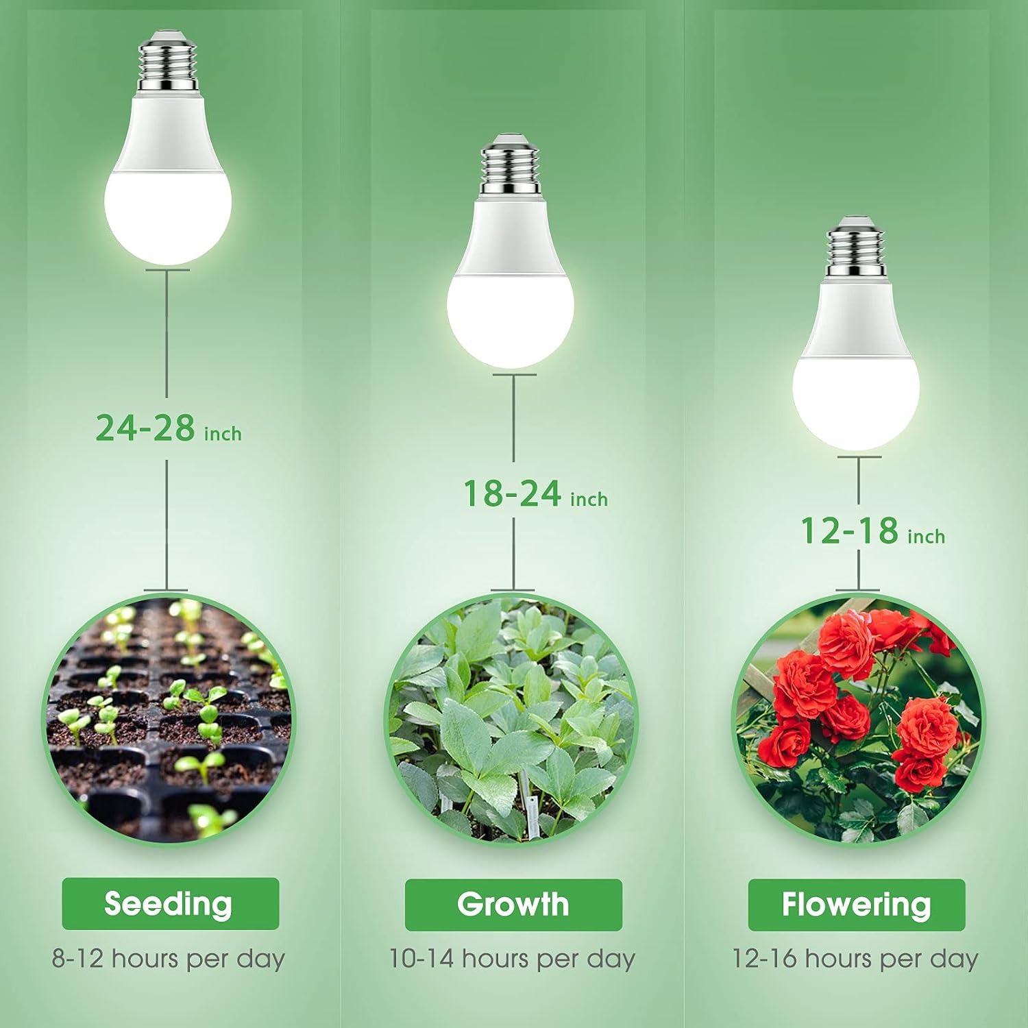 Briignite Full Spectrum LED Grow Light Bulbs A19 E26 (2 Pack): image 8