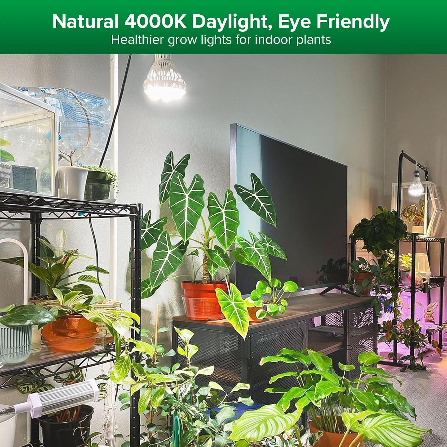 SANSI 36W Full Spectrum LED Grow Light Bulb (E26): image 3