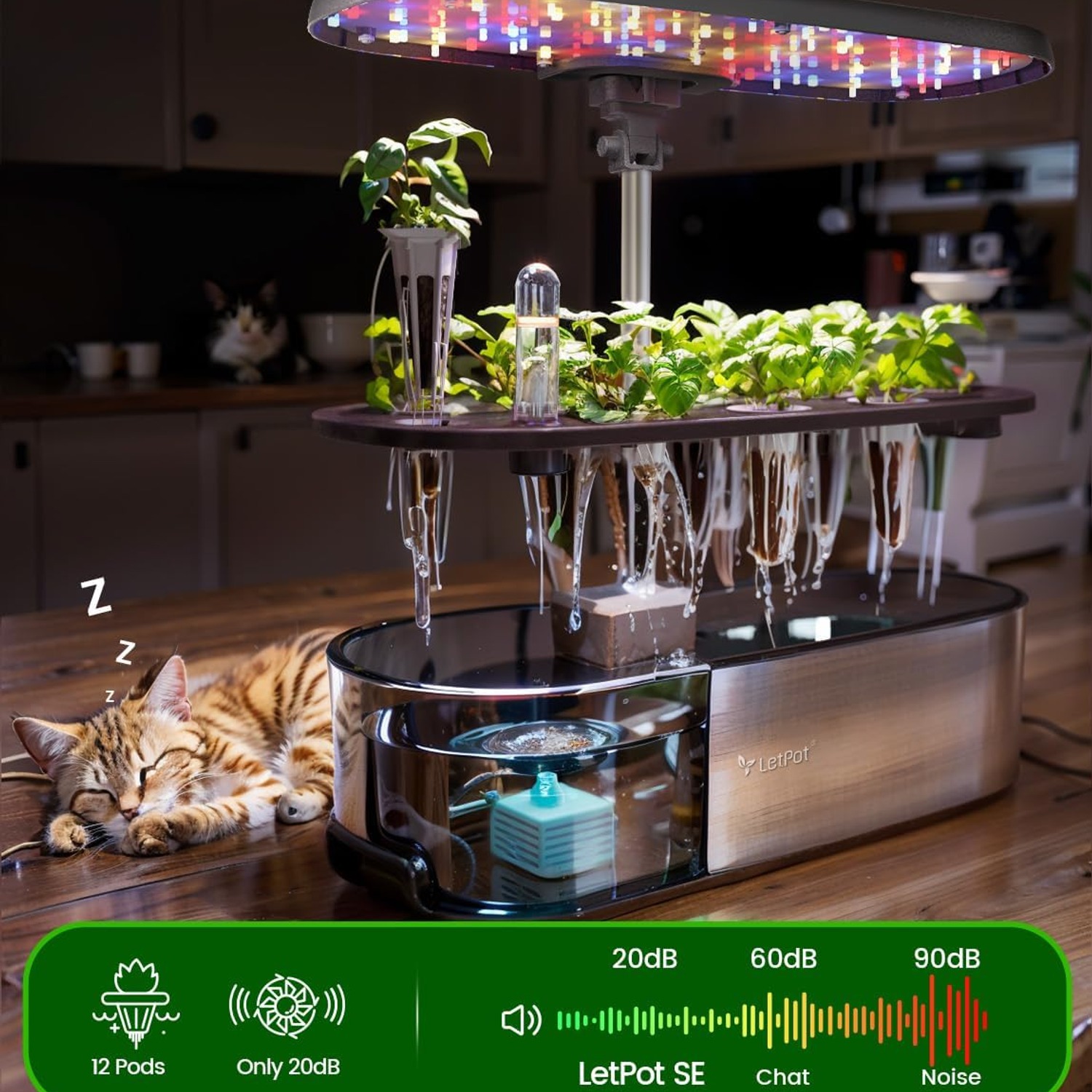 LETPOT LPH-SE 12-Pod Smart Hydroponic Indoor Garden: image 8