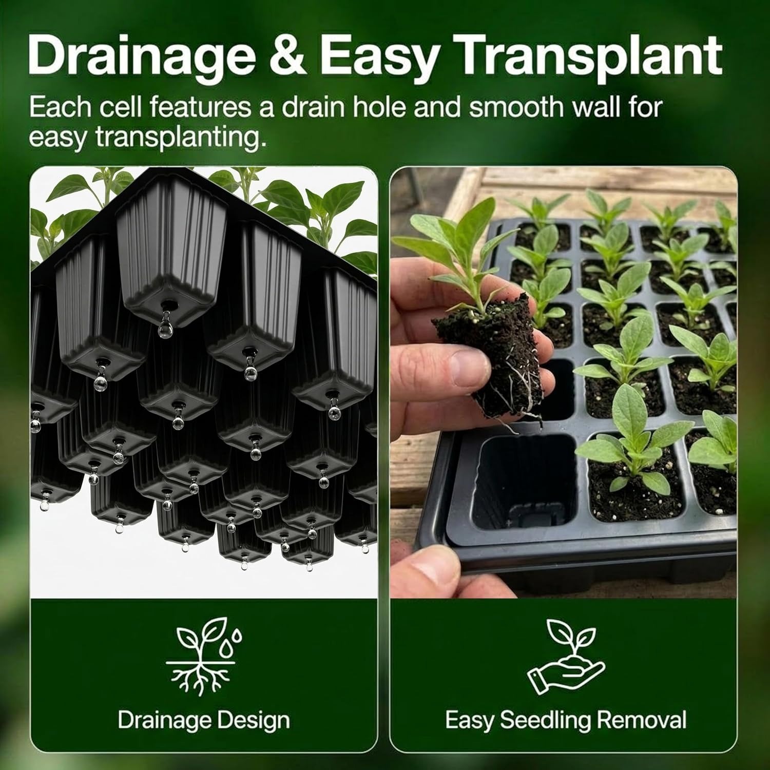 Gardzen 5-Set Seed Starter Tray Kit with Vented Domes (200 Cells): image 7