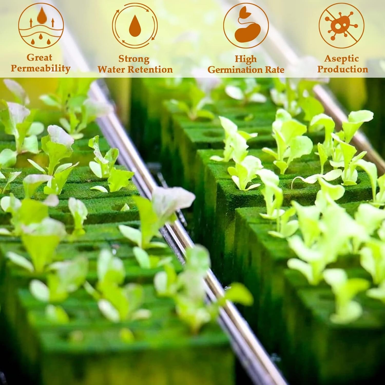 Legigo 1 Inch Rockwool Cubes Seed Starter Plugs, 200 Pack: image 5