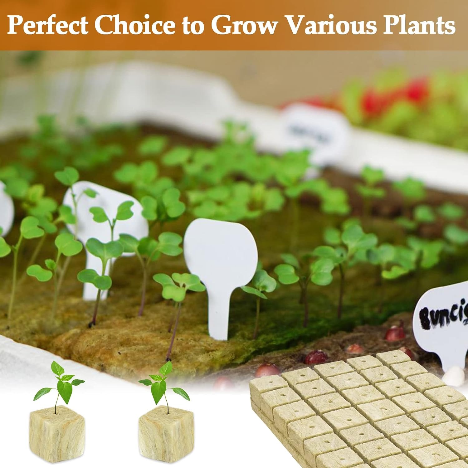 Legigo 1 Inch Rockwool Cubes Seed Starter Plugs, 200 Pack: image 7