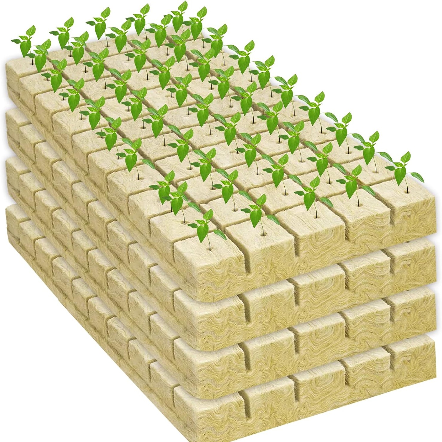 Legigo 1 Inch Rockwool Cubes Seed Starter Plugs, 200 Pack: image 9